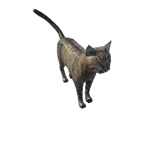 Cat_Fat_LowPoly_c5