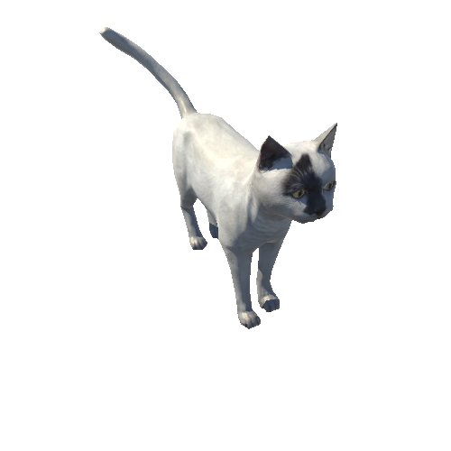 Cat_Fat_LowPoly_c7