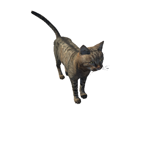 Cat_HighPoly_c5