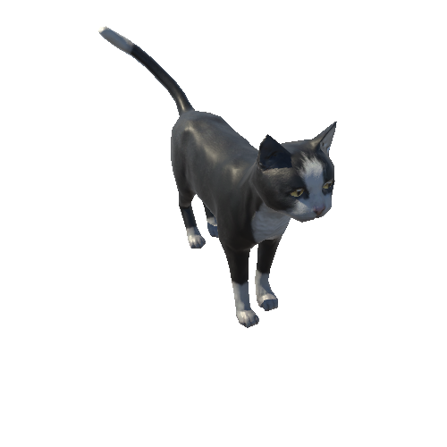 Cat_LowPoly_c1