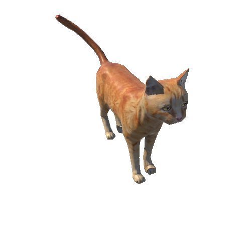 Cat_LowPoly_c4