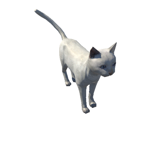 Cat_LowPoly_c6