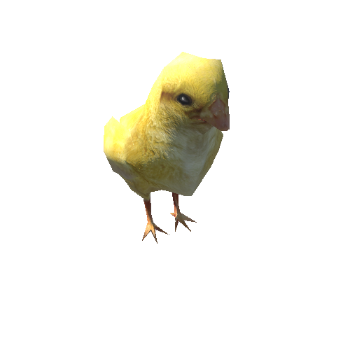 Chick_LowPoly