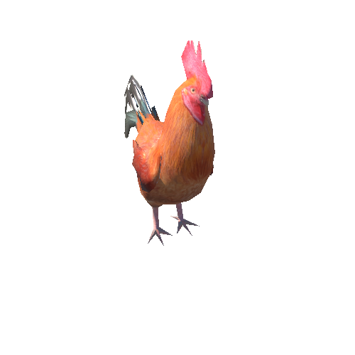 Cock_LowPoly_c1