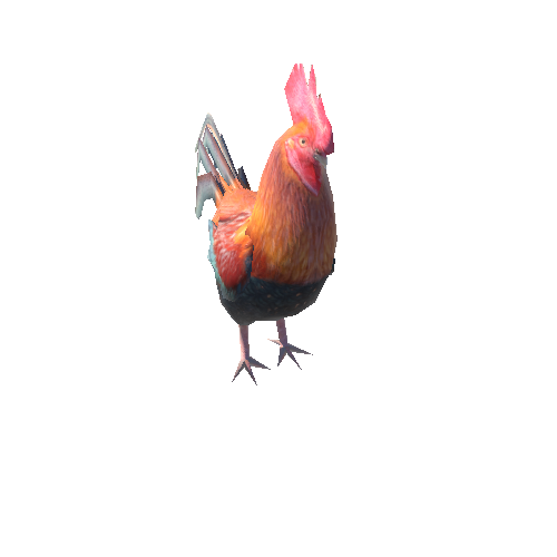 Cock_LowPoly_c2