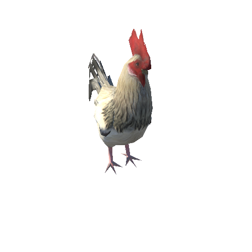 Cock_LowPoly_c3