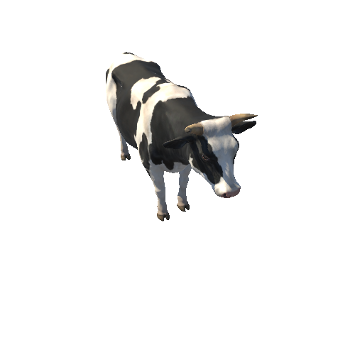 Cow_HIghPoly_c1