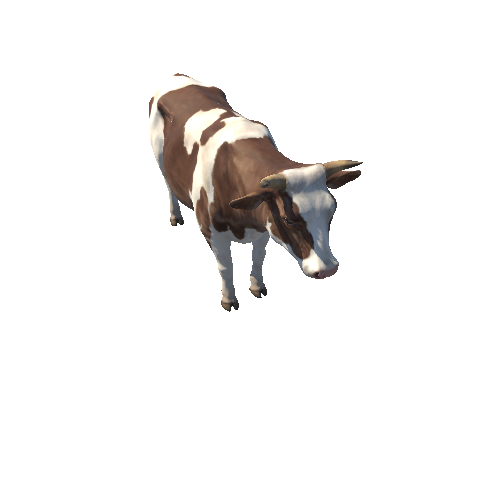 Cow_IP_c2