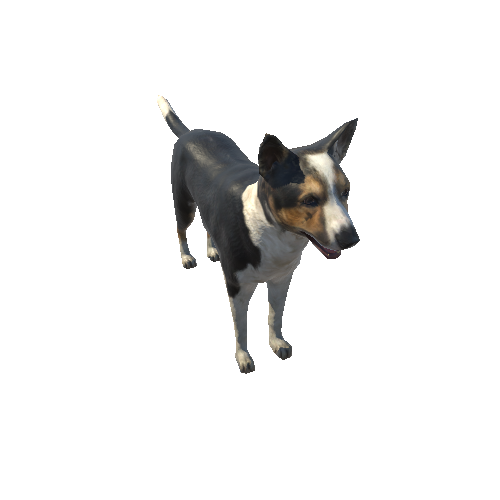 Dog_Collie_LowPoly