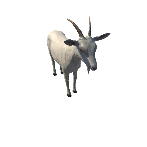 Goat_female_LowPoly