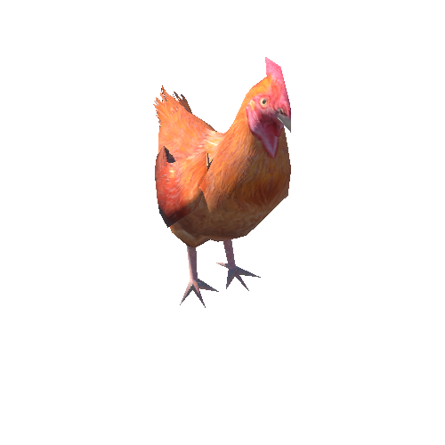 Hen_LowPoly_c1