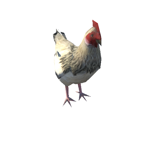 Hen_LowPoly_c3