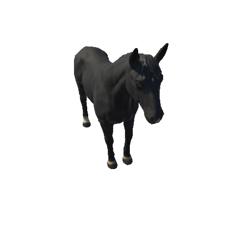 Horse_HighPoly_c2