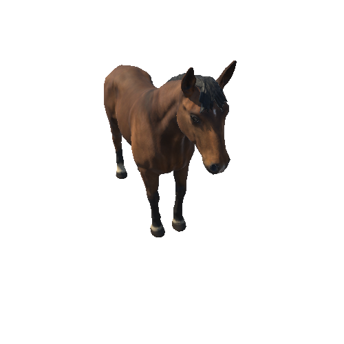 Horse_LOD_c1