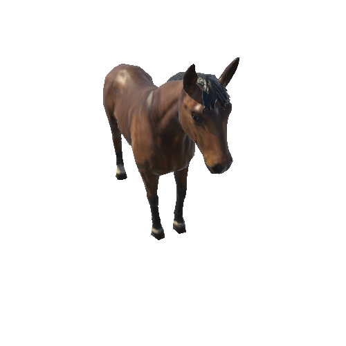 Horse_LowPoly_c1