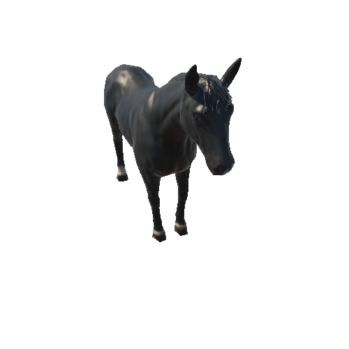 Horse_LowPoly_c2