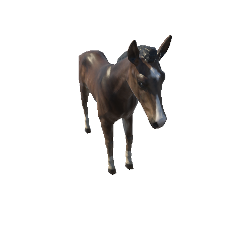 Horse_foal_LowPoly