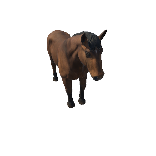 Horse_stallion_HighPoly_c1