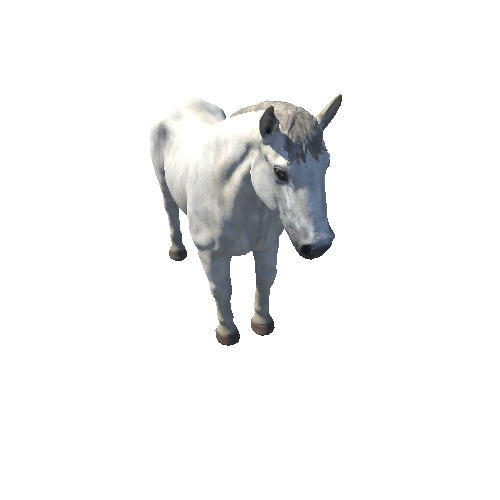 Horse_stallion_HighPoly_c2