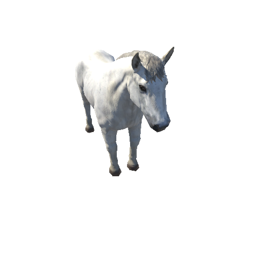 Horse_stallion_LowPoly_c2