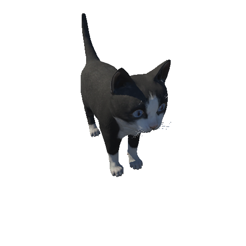 Kitten_HighPoly_c3