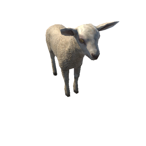 Lamb_LowPoly