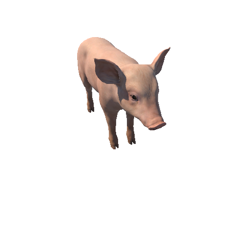 Piggy_HIghPoly_с1