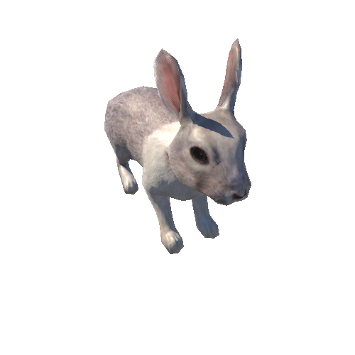 Rabbit_LowPoly_c1
