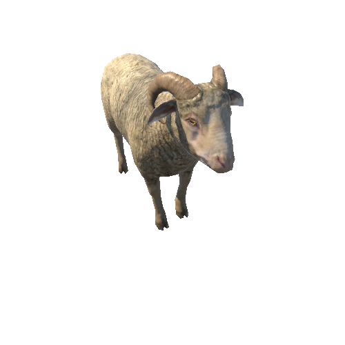 Ram_LowPoly