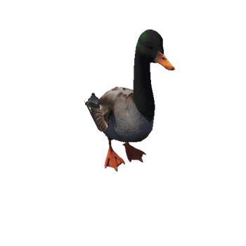 DuckColor1_1