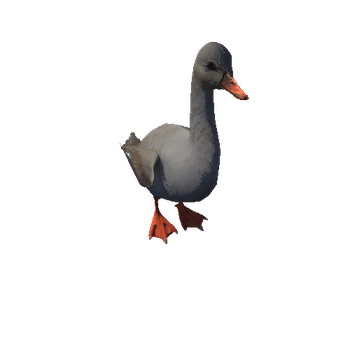 DuckColor2