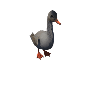 DuckColor2_1