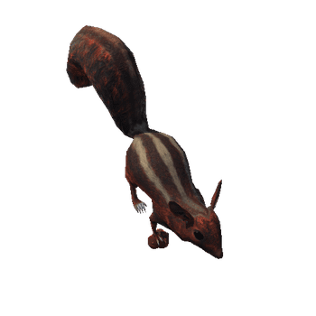 SquirrerColor3