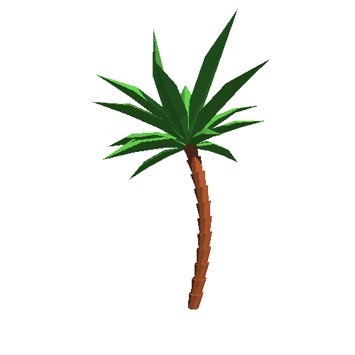 Palm