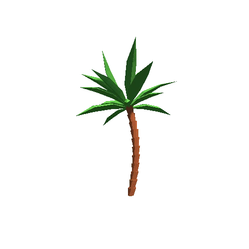 Palm