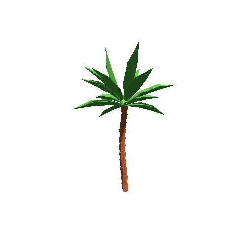 Palm_02