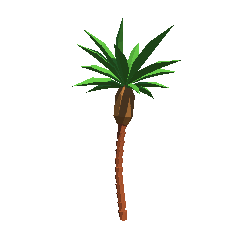 Palm_03