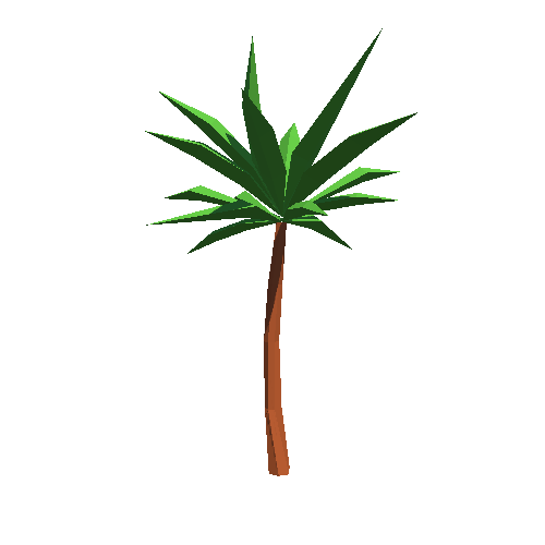 Palm_04