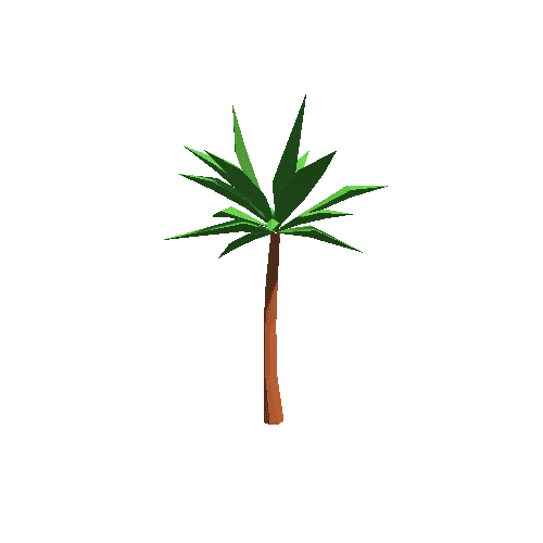 Palm_04