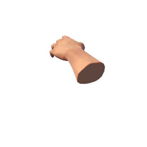 SteamVR_male_hand_left