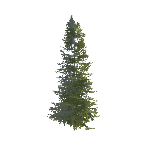 PineTree_A