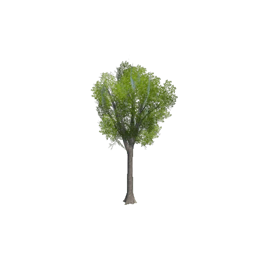 tree_02_a