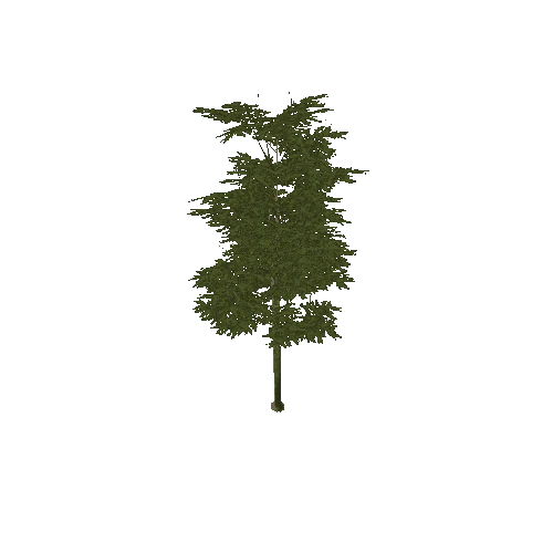 Tree_1A3