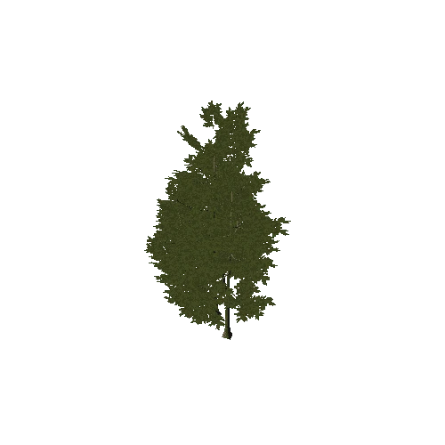 Tree_Forest_Group_1A(Paintable)