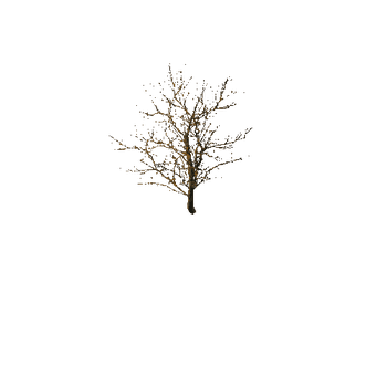 112 The old dry horror trees (Big Pack)