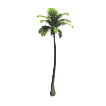 CoconutTree_A