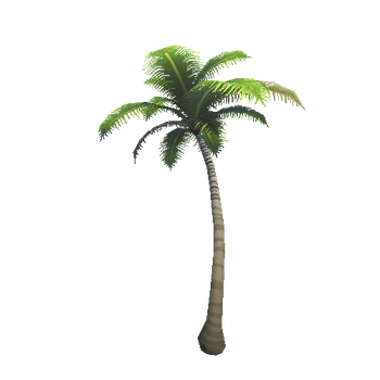 CoconutTree_C