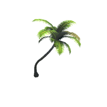 CoconutTree_D