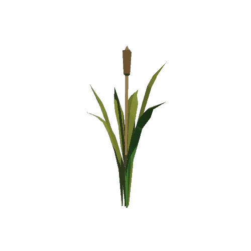 Plant_06