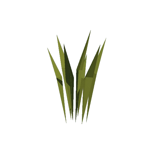 Plant_grass